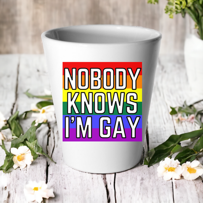 Nobody Knows I'm Gay