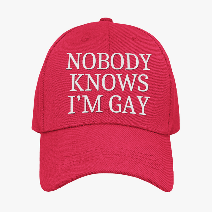 Nobody Knows I'm Gay