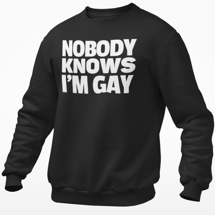 Nobody Knows I'm Gay